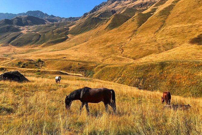 From Tbilisi: Kazbegi Ananuri Gudauri and Trusso Valley by 4x4 - Starting at Europe Square in Tbilisi