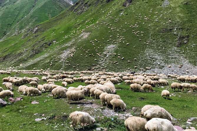 From Tbilisi: Kazbegi Ananuri Gudauri and Trusso Valley by 4x4 - Stepantsminda and the famous Gergeti view