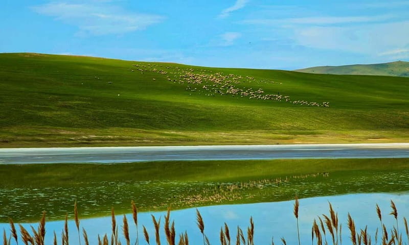 From Tbilisi: Rainbow Mountain & David Gareja Monastery Trip - Key points to know before booking