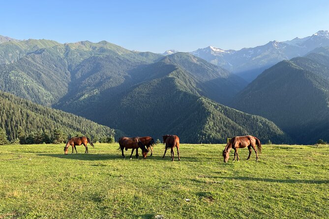 From Tbilisi: Svaneti 4 Days Private tour (Mestia, Ushguli) - Why Svaneti deserves four full days