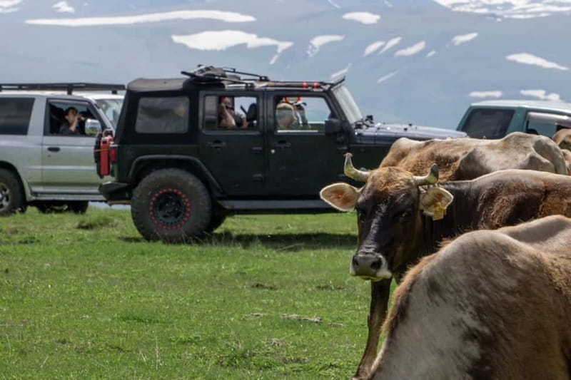 From Tbilisi: Tsalka Hills Off-Road Jeep Tour with BBQ - Practical tips for a smoother day