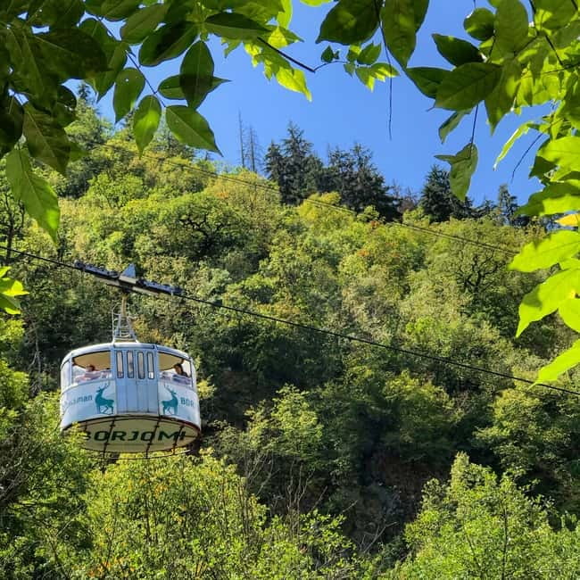 From Tbilisi: Vardzia, Rabati, and Borjomi Private Tour - Who should book this tour?