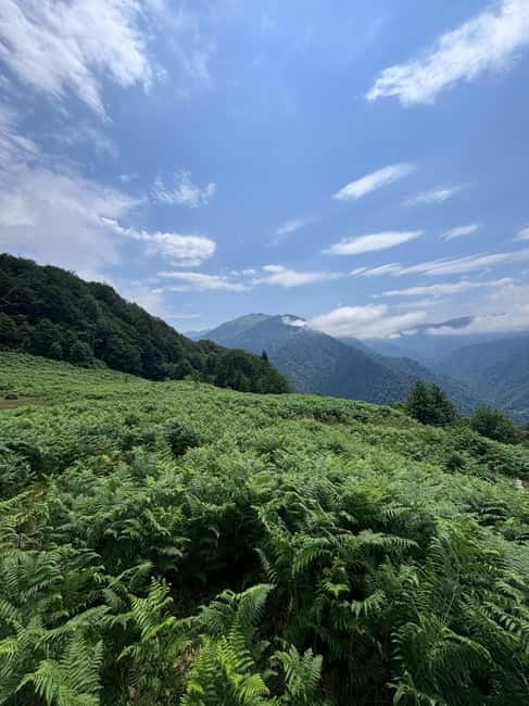 Full Day Mountine Tours from Batumi - Key points at a glance