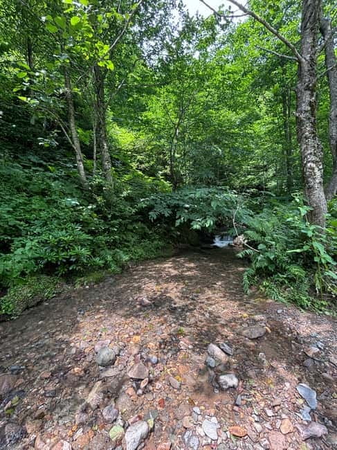 Full Day Mountine Tours from Batumi - Nabostlavi and the aerial views