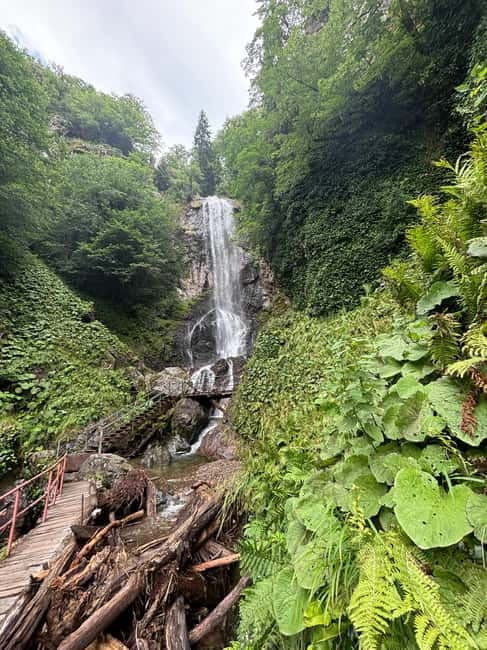 Full Day Mountine Tours from Batumi - Keda Municipality: food, wine, and a local pause