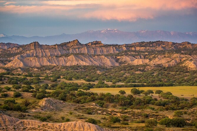 Full-day Private Wilderness tour in Vashlovani National Park - Key reasons to consider this Vashlovani tour
