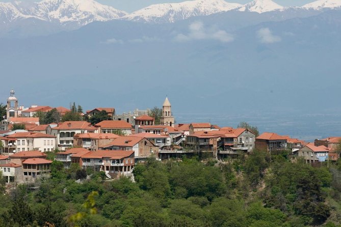 Full Day Private Wine Tour in Kakheti Region with Lunch and 3 Wine Tastings - Six details that shape the day