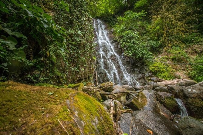 Full Day Tour from Batumi to Waterfalls - Makhuntseti Waterfall: the biggest stop and the busiest choice