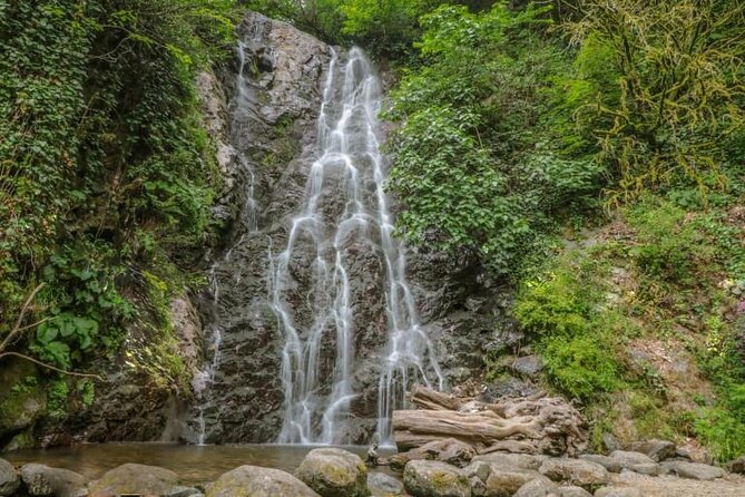 Full Day Tour from Batumi to Waterfalls - Gonio and what to clarify about the route