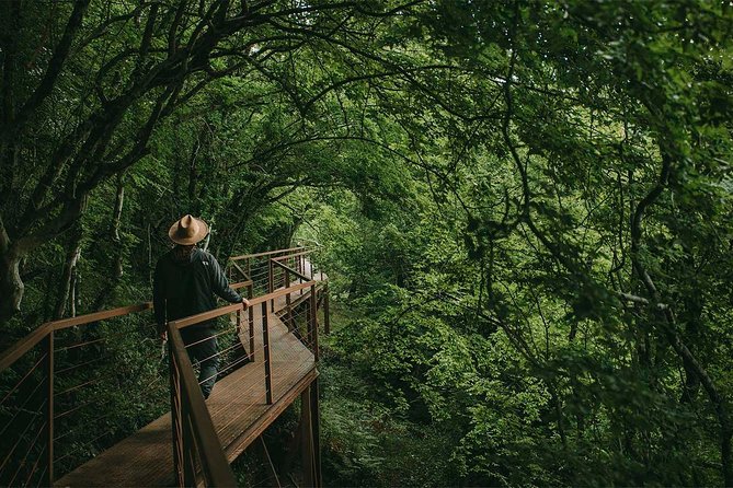 Full Day Tour to Martvili Canyon and Okatse Canyon - Key points to know before booking