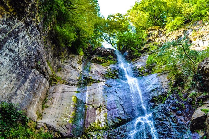 Gonio and Adjarian Highland Tour - Key points before you book