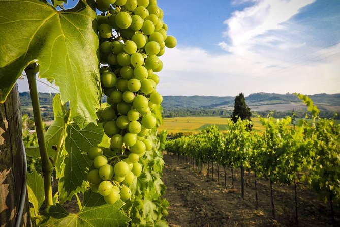 Grand tour to Kakheti for wine lovers: Telavi-Kvareli-Sighnaghi - Alaverdi Cathedral brings sacred history into view