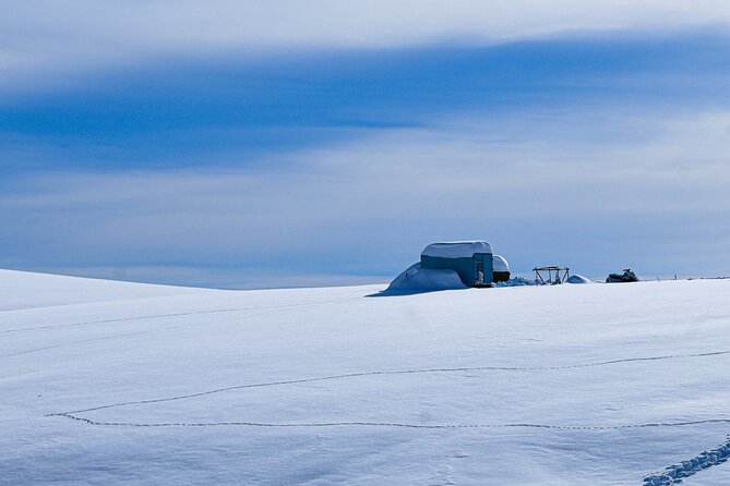 Gudauri Adventures - One Day Private Tour to Gudauri Ski Resort - From Tbilisi streets to Gudauri snow