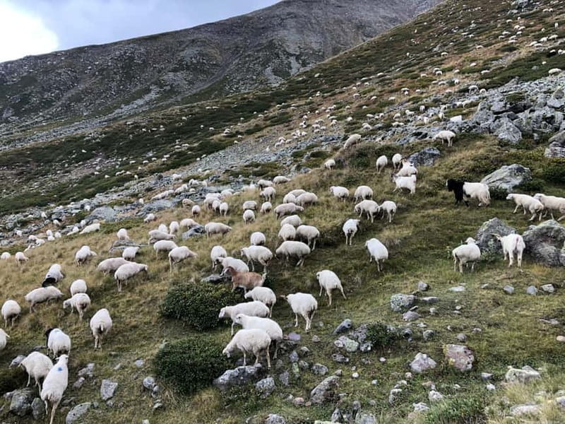Gudauri and Kazbegi: Private Day Trip from Tbilisi - Key points at a glance