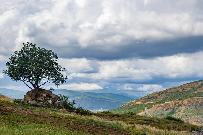 Half Day Mtshketa Tour (Small Group) - Who should book this Mtskheta tour