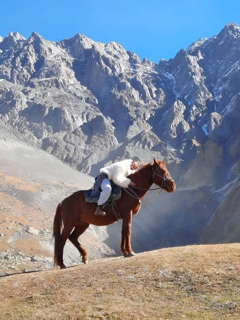 Horse riding tour in Kazbegi - Meeting the horses near Rooms Hotel