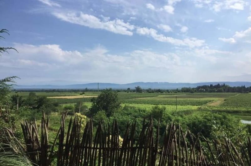 Kahketi: Full-Day Wine Tasting Tour with Lunch - Sighnaghi, Stone Walls, and the Alazani Valley