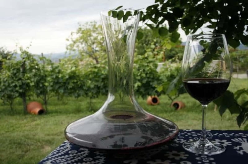 Kahketi: Full-Day Wine Tasting Tour with Lunch - How Georgia Makes Wine in Clay Vessels