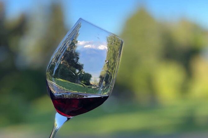 Kakheti.All inclusive Wine tour with family lunch - Shumi Winery and the story behind Georgian wine