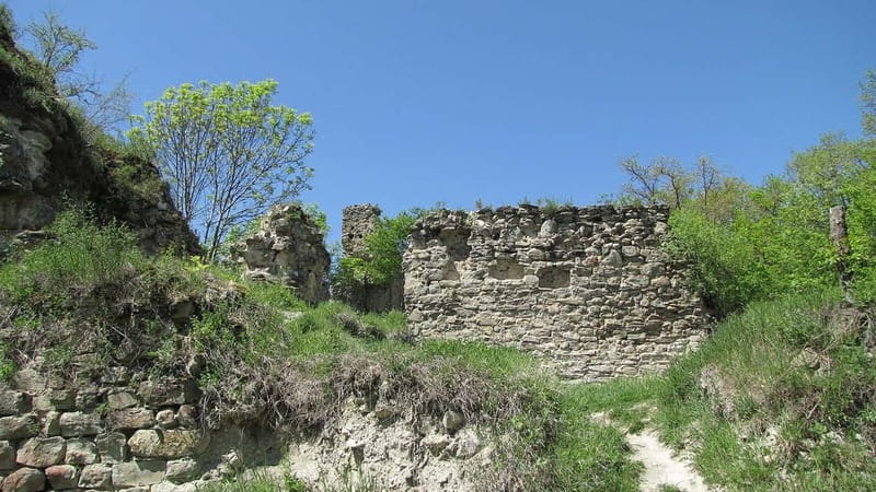 Kakheti: Bodbe, Sighnaghi, and Telavi Full-Day Tour - Gombori Pass changes the scenery
