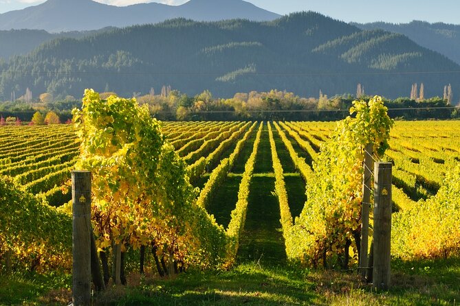Kakheti: Bodbe, Sighnaghi, Telavi Wine Tour from Tbilisi - Sighnaghi delivers the day’s best views