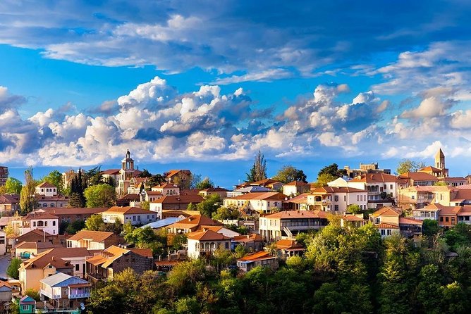 Kakheti Full Day Private Tour - Patardzeuli Winery and the first Georgian tasting