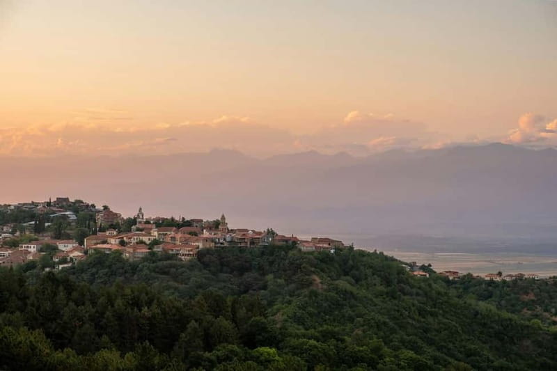 Kakheti: Full-Day Wine & Culture Adventure from Tbilisi - Who will enjoy this tour most