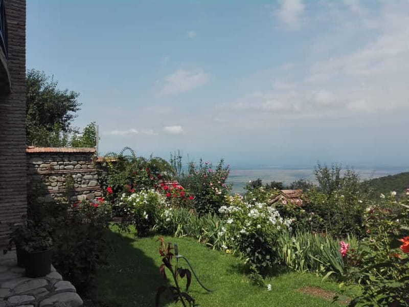 Kakheti: Individual Day Tour To Sighnaghi From Tbilisi - Private transport and the value of flexibility