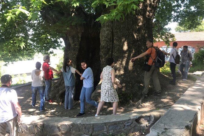Kakheti Private: Wine, History, and City of Love - Churchkhela and homemade wine at Nato’s confectionery