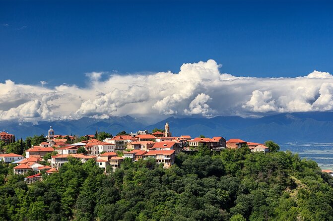 Kakheti Private: Wine, History, and City of Love - Kindzmarauli Corporation and Georgia’s famous sweet red