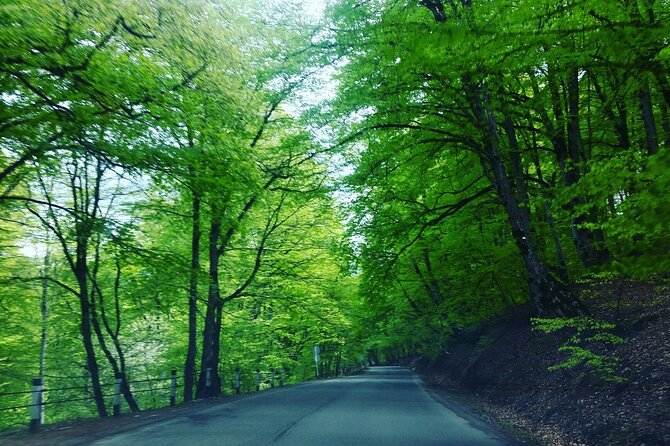 Kakheti Region Khareba Winery Telavi City Gremi Castle Day Tour - Who will enjoy this Kakheti day tour?