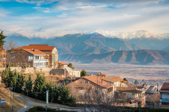 Kakheti's Cultural Tapestry with Wine, History & Charm Tour - Five things worth knowing before you book