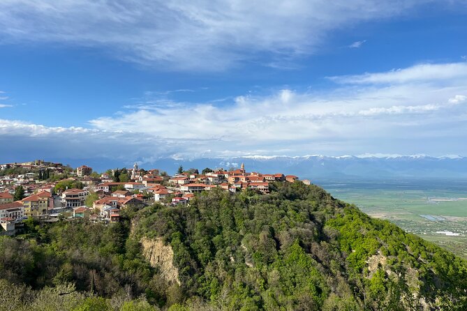 Kakheti-Sighnaghi Day Trip with wine tasting and Bodbe Monastery - Key points at a glance