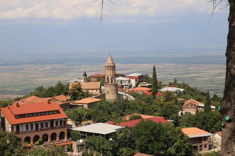 Kakheti & Sighnaghi Private Guided Day Trip with Wine - The museum and Kakheti’s regional story