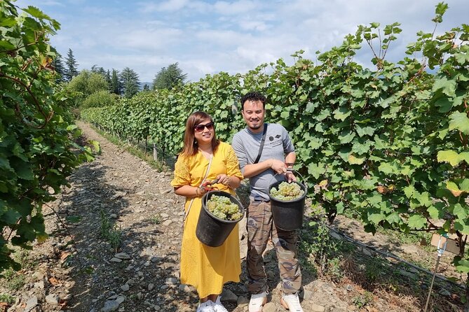 Kakheti - Small wineries and family-cooked lunch • Private tour - What the private format really adds