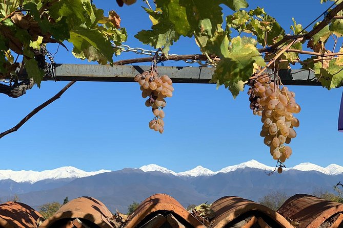 ️ Kakheti tour - Private Full Day Wine tour with Lunch and Wine tasting - Sighnaghi combines hill-town views and natural wine