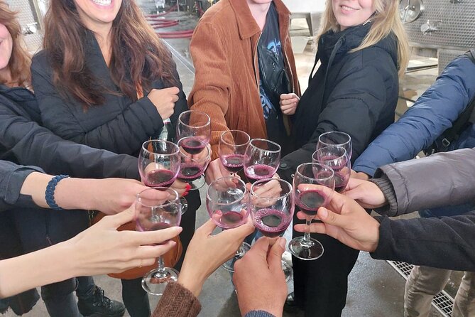 Kakheti Wine Region: Signagi and Bodbe Tour with 10 Wine Tastings - The return to Tbilisi and group atmosphere