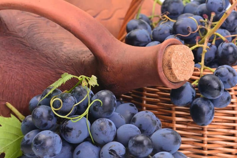Kakheti Wine Tour - Explore the Art of Kvevri Winemaking - The value of $352 per person