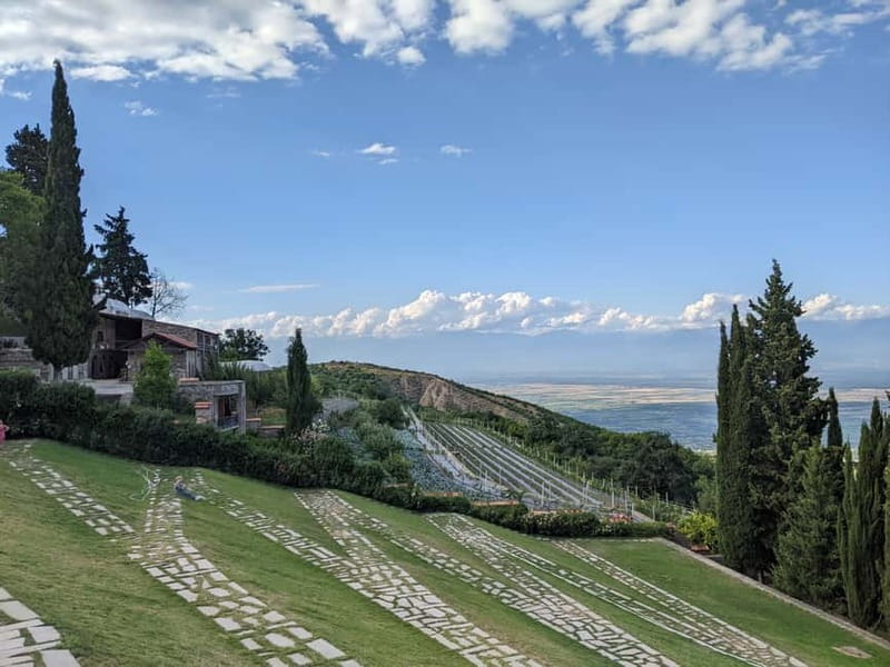 Kakheti: Wine tour from Tbilisi - Enjoy 6 sorts of wine - Key points to know before booking