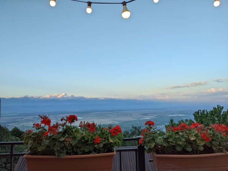 Kakheti: Wine tour from Tbilisi - Enjoy 6 sorts of wine - Khareba Winery and the traditional European contrast