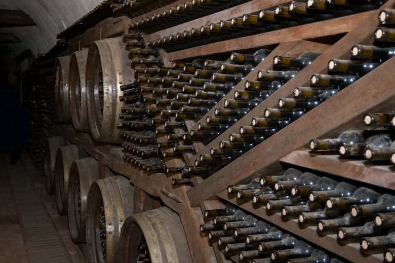 Kakheti: Wine tour from Tbilisi - Enjoy 6 sorts of wine - Transport, pace, and who should book