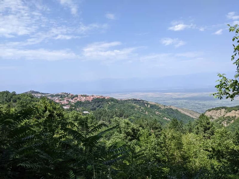 Kakheti: Wine tour from Tbilisi - Enjoy 6 sorts of wine - Badiauri: hot bread before the sightseeing begins