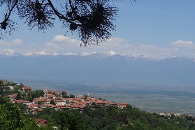 Kakheti wine Tour: Telavi-Kvareli-Signagi and Wine cellars - Key details to know before booking