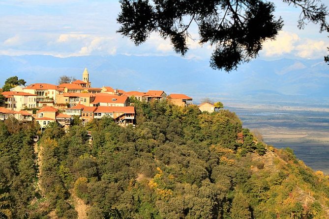 Kakheti wine Tour: Telavi-Kvareli-Signagi and Wine cellars - What the private format changes