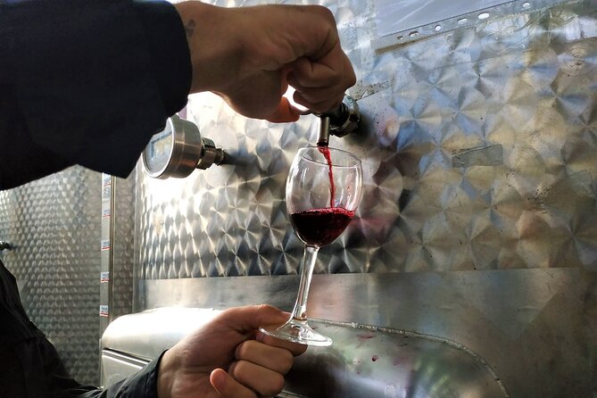 Kakheti Wine Tour with 20+ Wine Tastings & Qvevri Masterclass - Stop 3: Khareba’s 7-kilometer wine tunnel