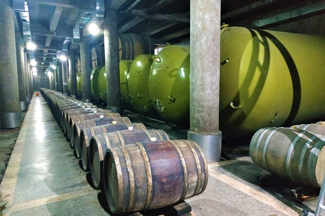 Kakheti Wine Tour with 20+ Wine Tastings & Qvevri Masterclass - Stop 4: KTW and wine straight from the tanks