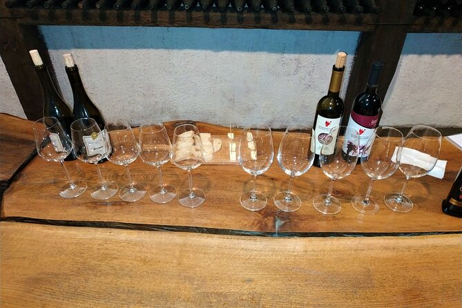 Kakheti Wine Tour with 20+ Wine Tastings & Qvevri Masterclass - What the 20-plus tastings really mean