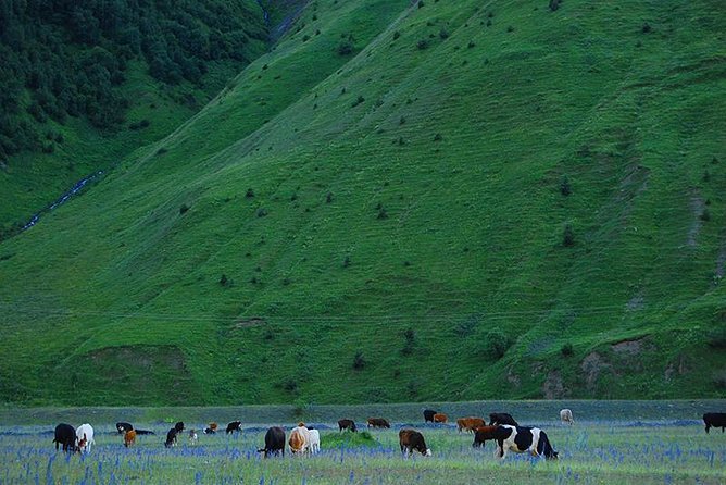 Kazbegi Adventure - Private Day Trip From Tbilisi with a Dinner + Masterclass - Zhinvali Reservoir and the First Mountain Views