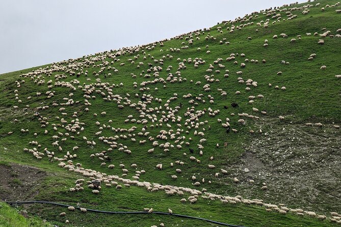 Kazbegi & Gudauri Private Full-Day Tour From Tbilisi - Leaving Tbilisi Along the Georgian Military Highway