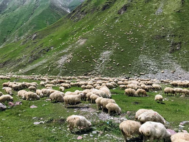 Kazbegi, Stepantsminda, and Gudauri Tour - What the $110 Price Really Buys
